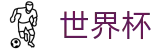 FIFA世界杯服务大厅 · 官方品牌中文全站